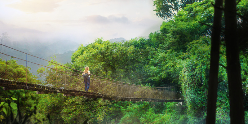 Порно видео онлайн куннилингус