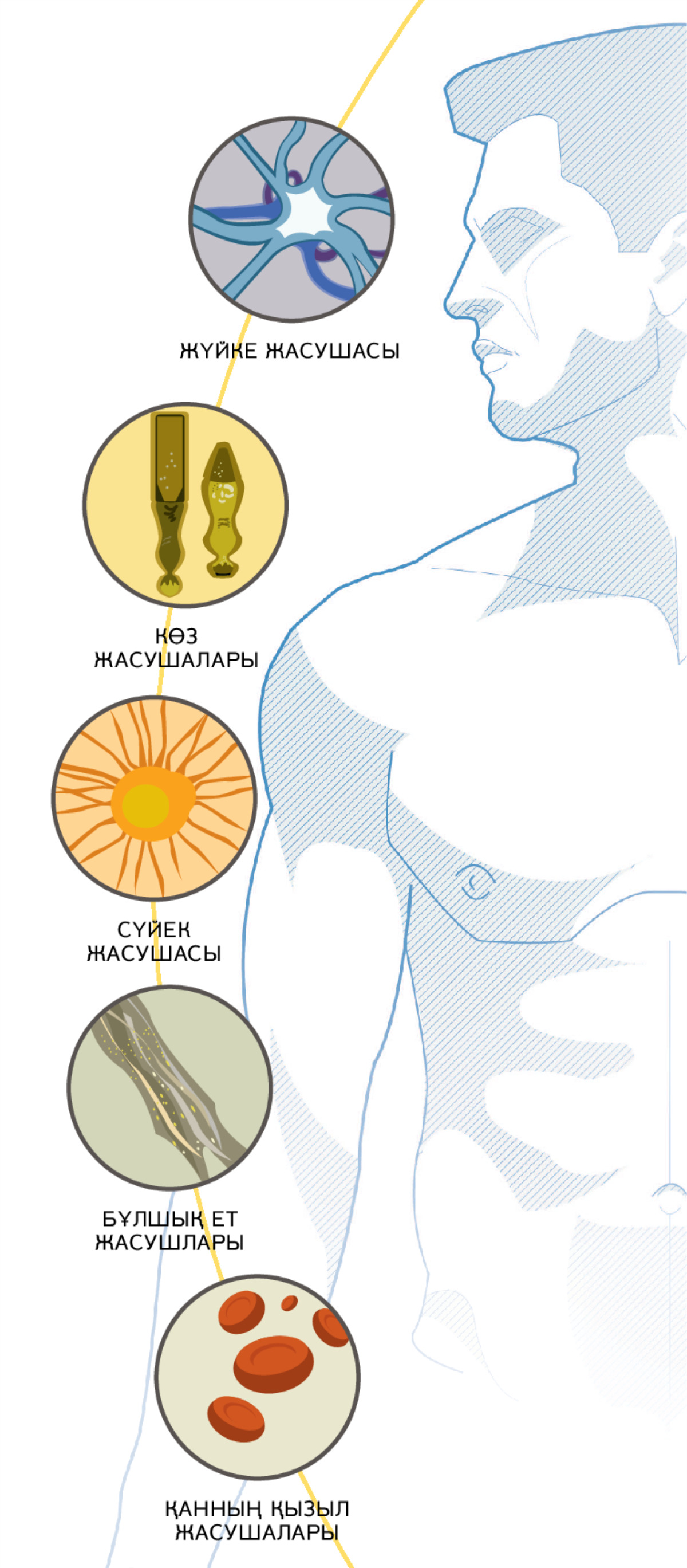 Екі қызбен үшеу