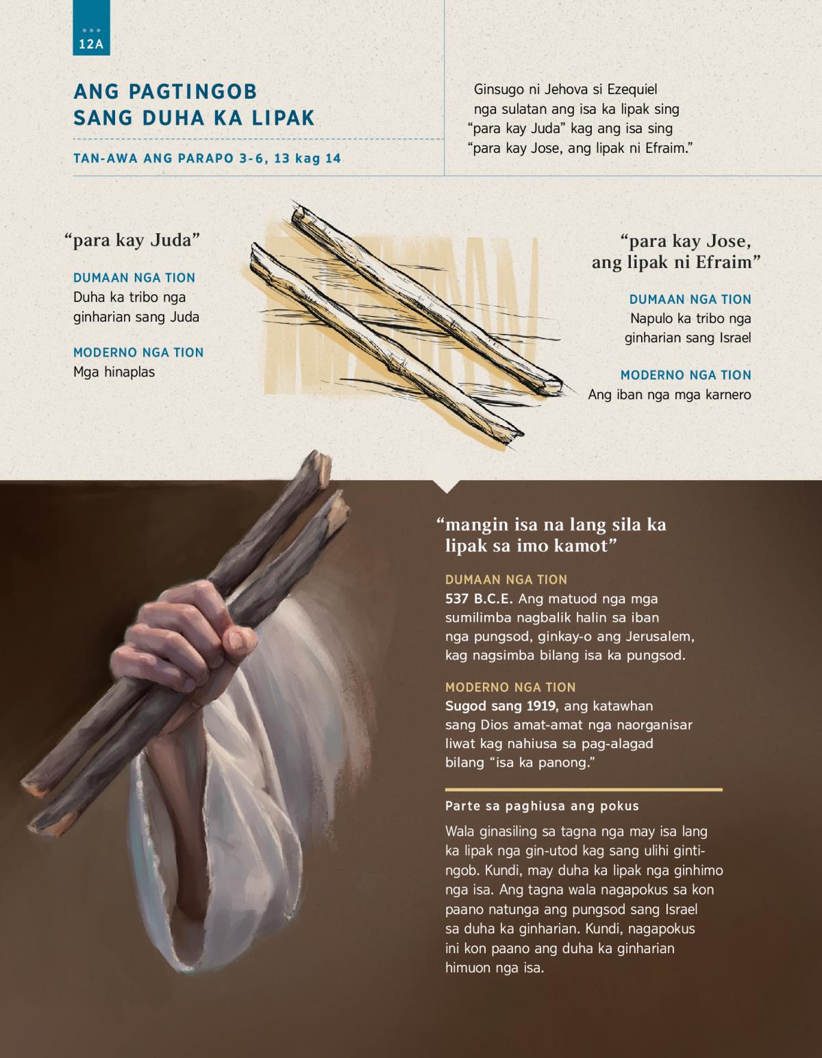 Ayol mushukining jinsiy makro suratga olishi