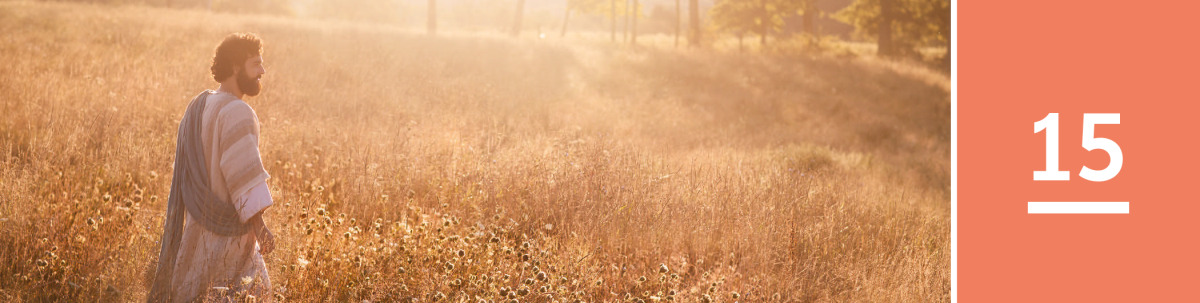 Image 1: Jesus walks through a field of grain.
