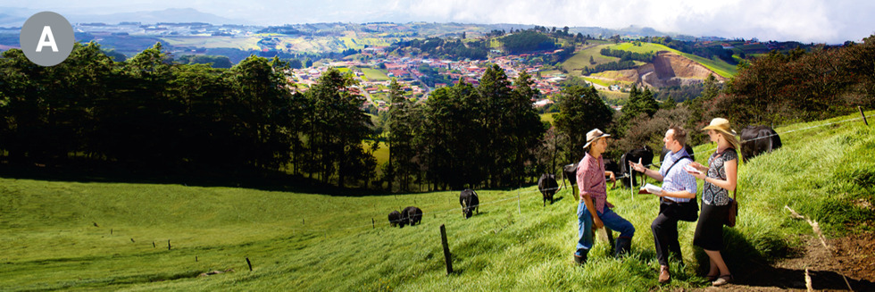 Image 2: A. Two of Jehovah’s Witnesses preaching to a man on a grassy hillside in Costa Rica. CAPTION: Preaching around the world: (A) Costa Rica, (B) United States, (C) Benin, (D) Thailand, (E) Yap, (F) Sweden