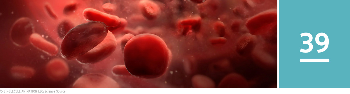 Image 1: A microscopic view of the bloodstream.