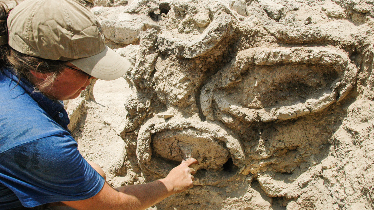Um arqueólogo examinando colmeias de barro encontradas em Israel.