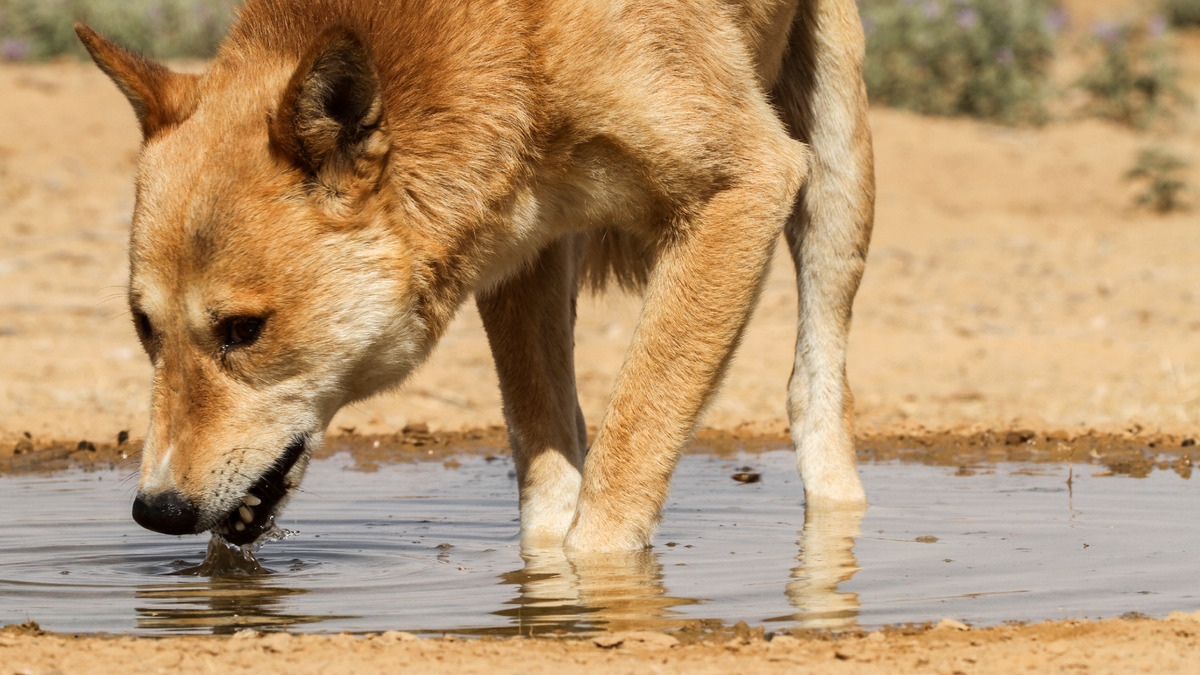 Er liess sich vom Leben nicht verbittern, image size:1200x675