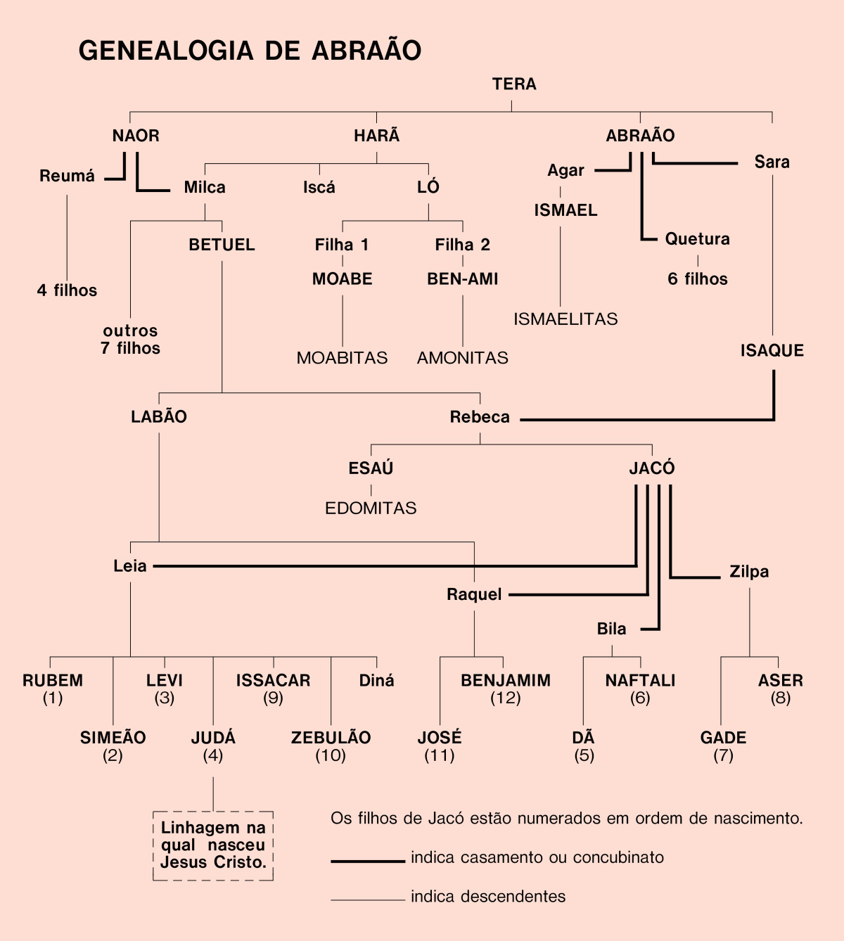 Arvore Genealogica De Abraao E Sara Recurso Visual Da História De