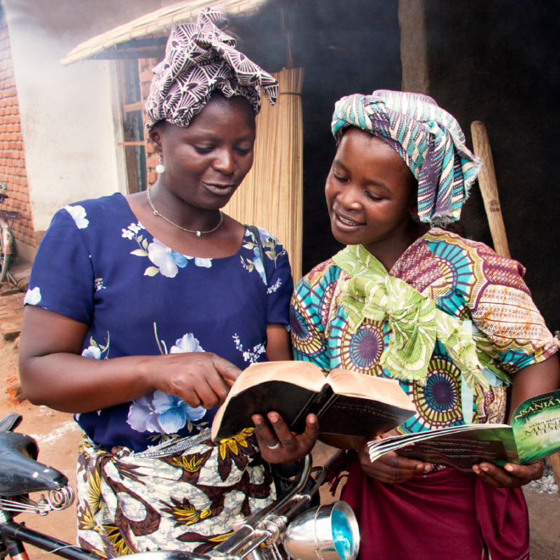 Төменнен жалаңаш көрініс Ішімдік жыныстық қатынасқа айналады