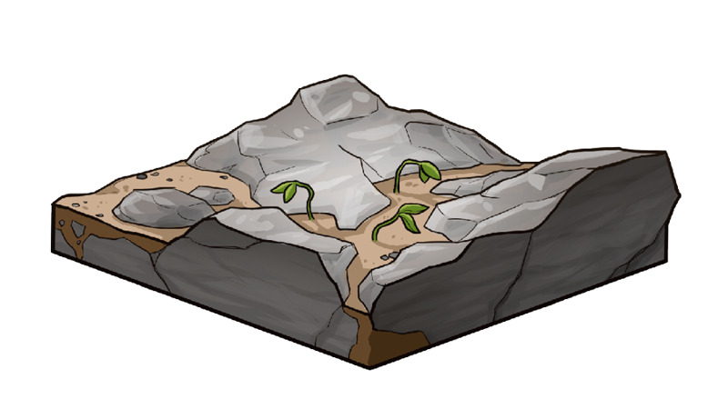 IMAGE 2 PICTURE DESCRIPTION: Rocky soil.