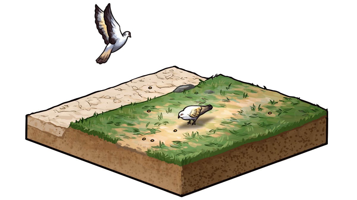 IMAGE 1 PICTURE DESCRIPTION: Trampled soil with a bird coming to land on it.