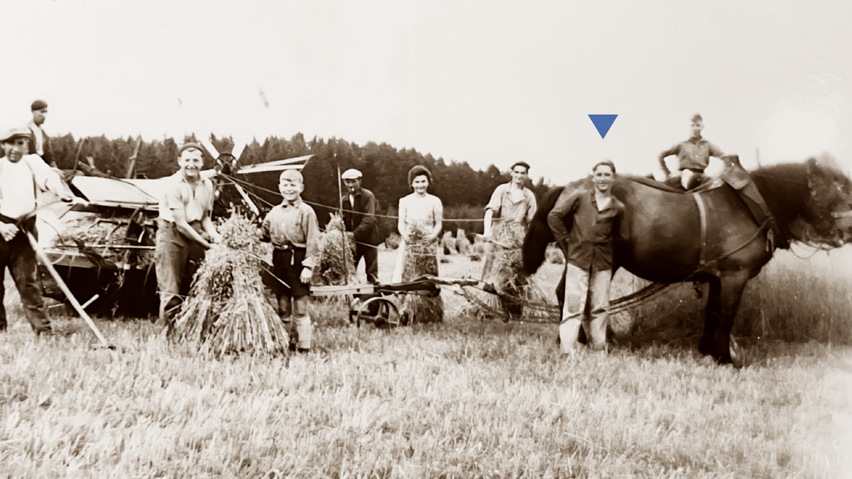 Елена Старостина порно секс фотосуреттер Диснейдің порно мультфильмдерін онлайн көріңіз