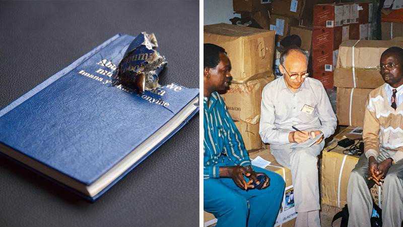 Пусси kinglet фото бейне Порно жаңғақ және чип