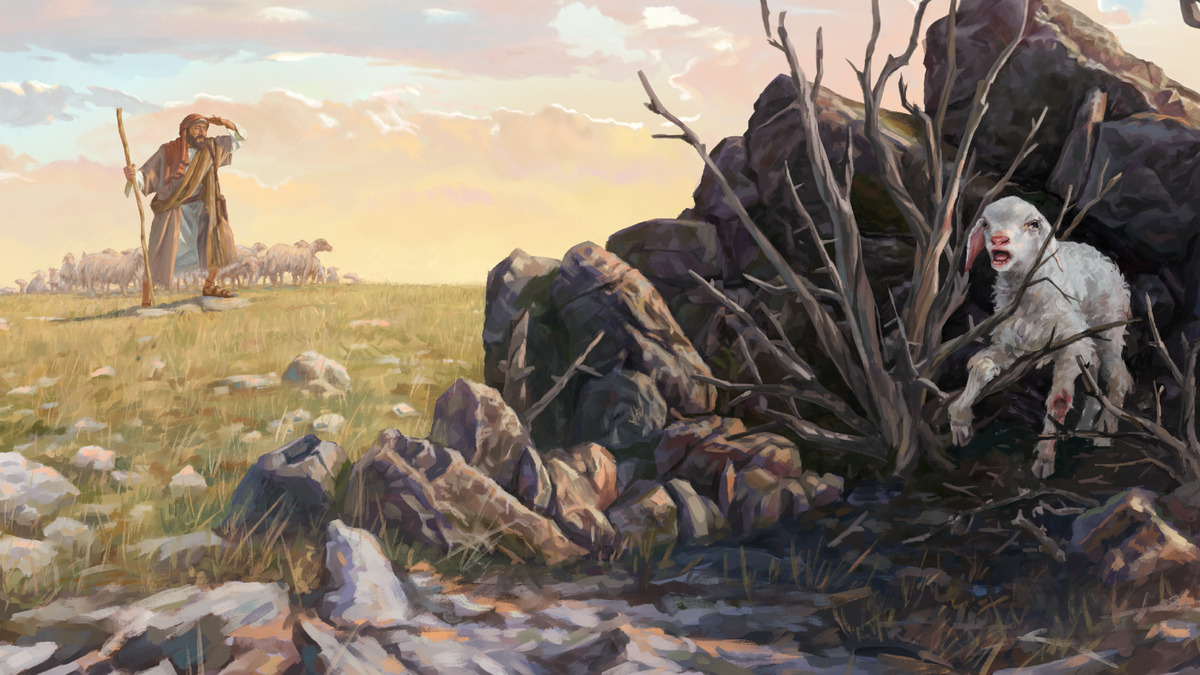 IMAGE 1 PICTURE DESCRIPTION: A shepherd with his flock, looking for a lost sheep. The lost sheep is entangled in a bush and has a wounded leg. CAPTION: Just like ancient shepherds, the elders endeavor to recover a lost sheep (See paragraph 5)