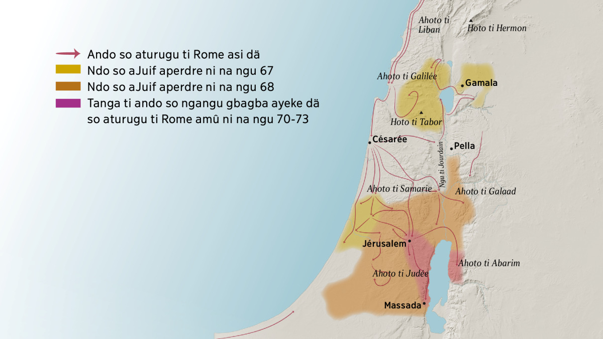 Luis.'s Video on X, image size:1200x675