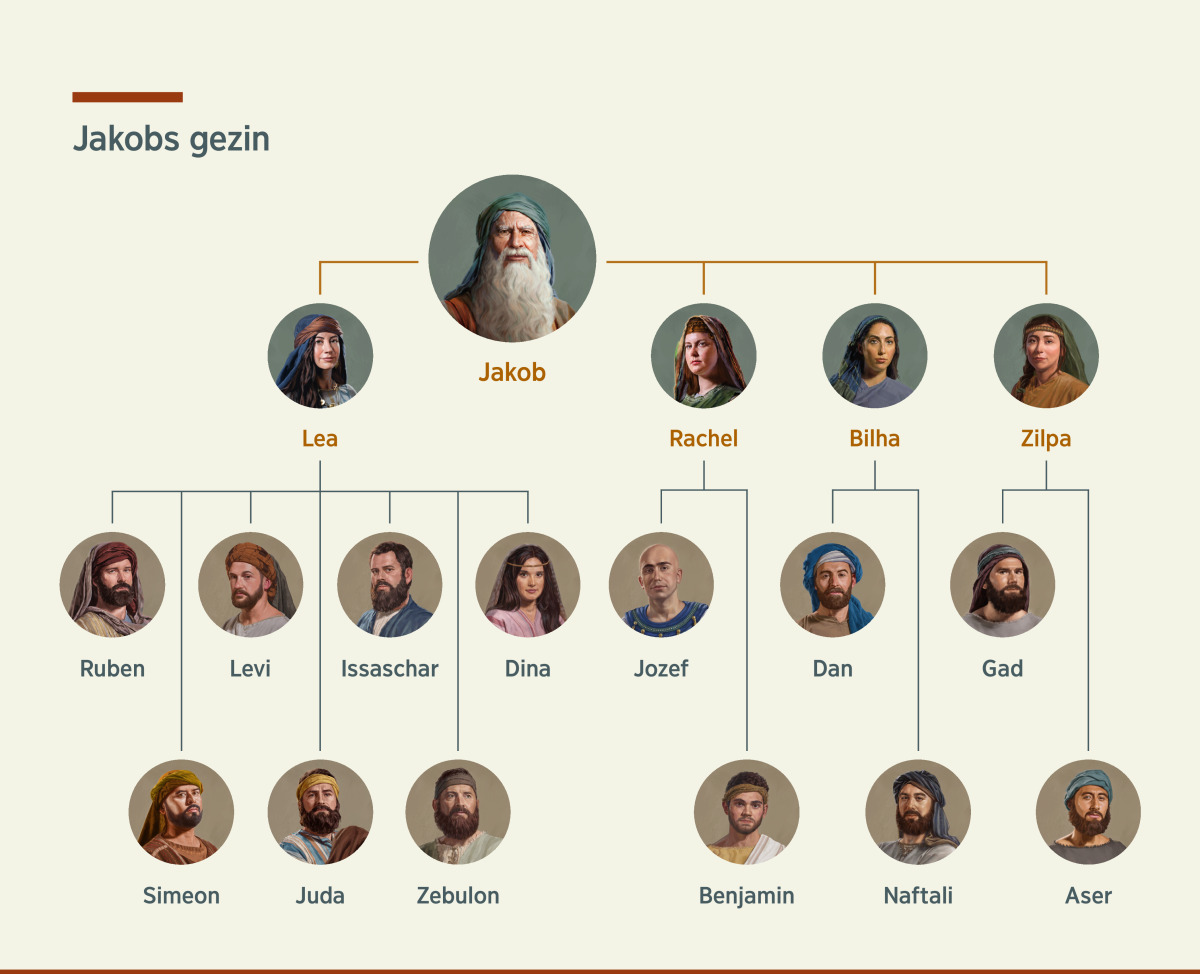 Doe en denk als een kat van Stéphane Garnier bestellen?, image size:1200x974