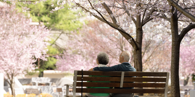 Lezbiyenlarning kamming suratlari