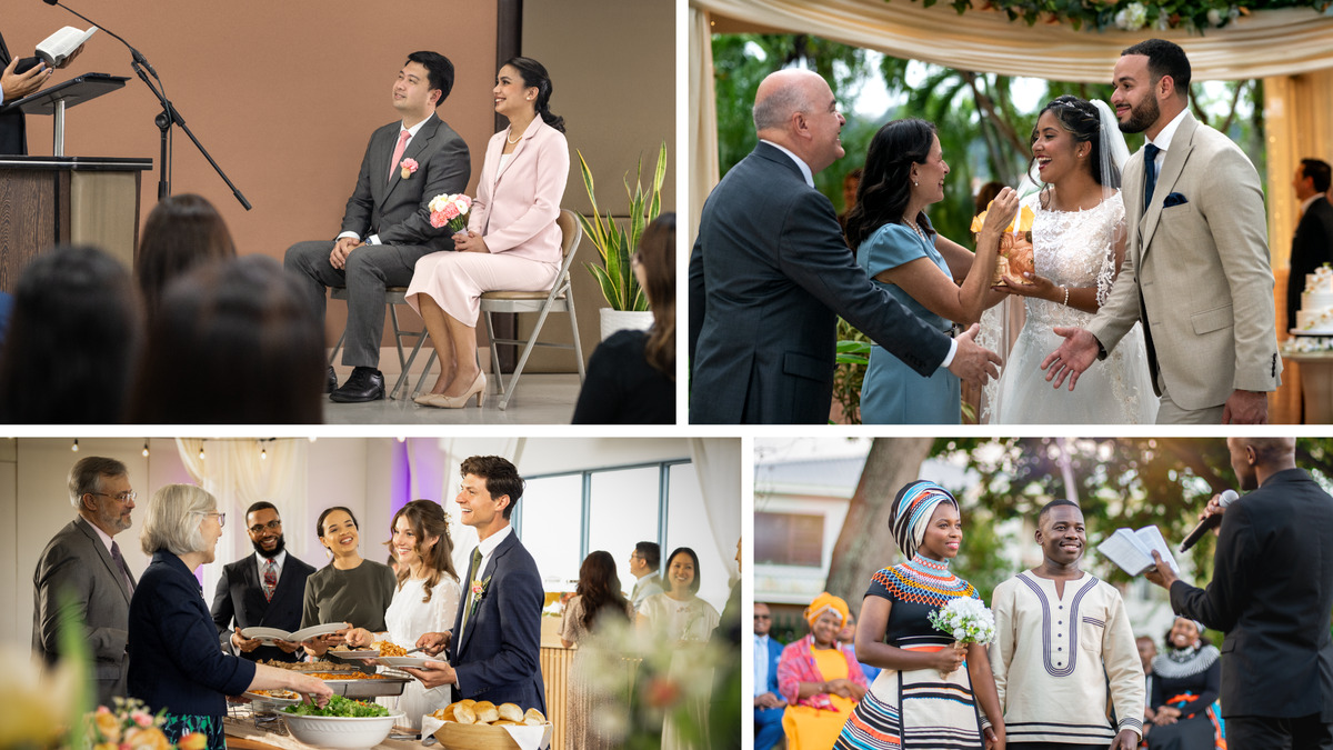 Portfolio - Knots in the Pines, image size:1200x675