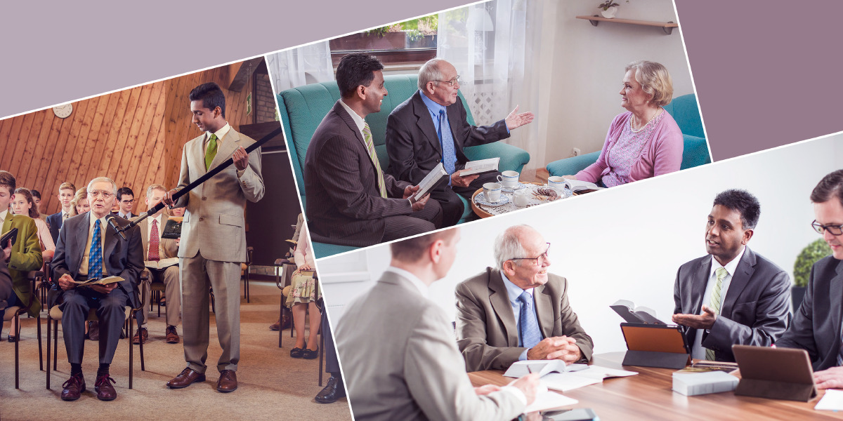 Бейне: кискадағы жеңіл бөртпе Калининградтық жеке секс