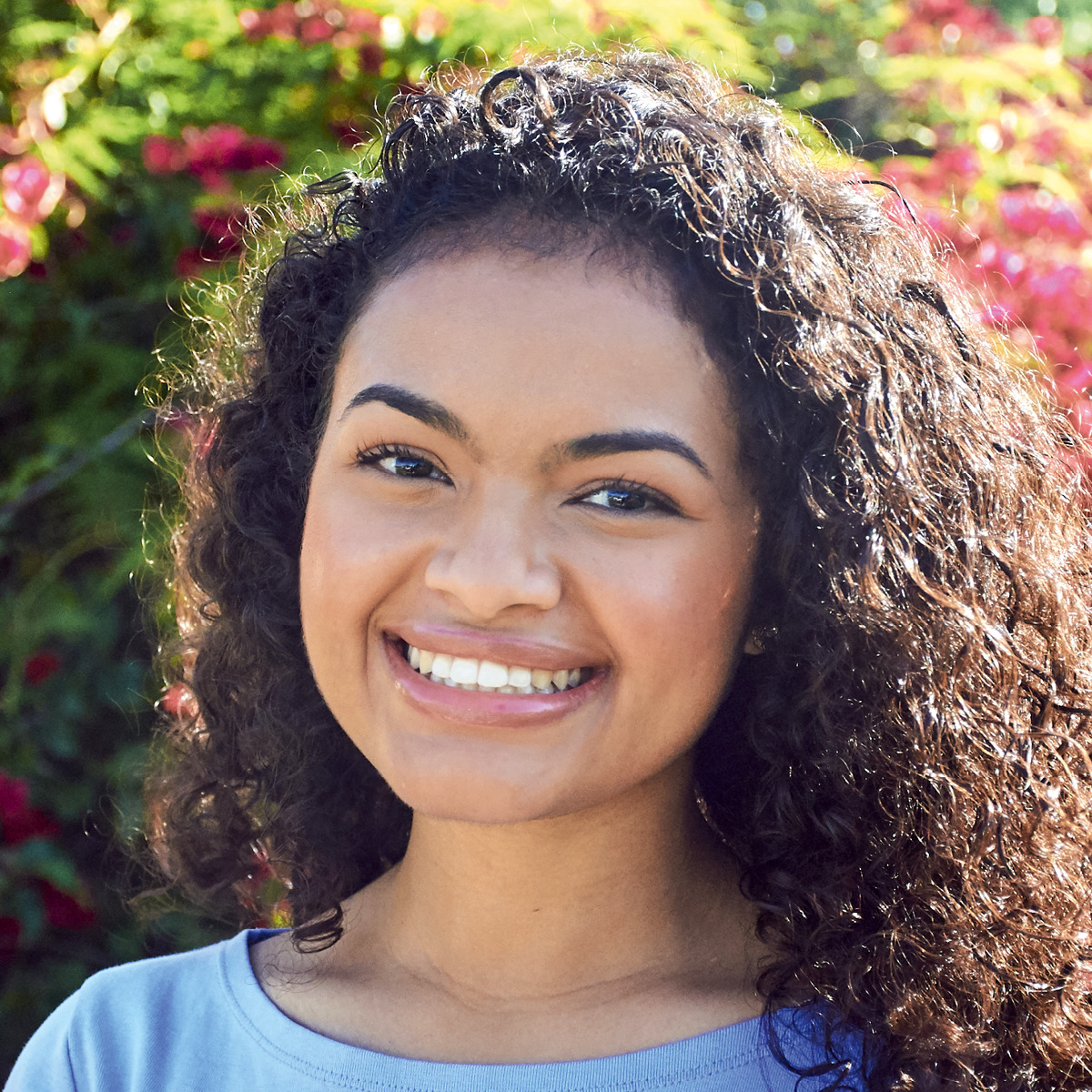 Біреудің жағажайда ит стилін алған суреті