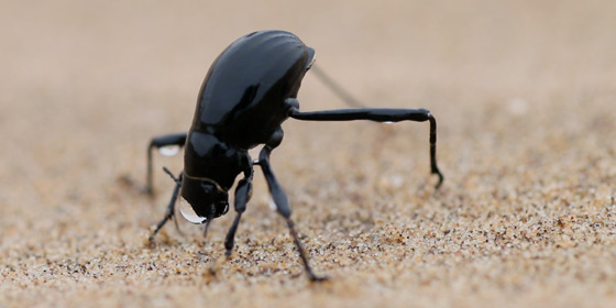 Анасына тыңшылық жасаған бала туралы порно әңгіме.