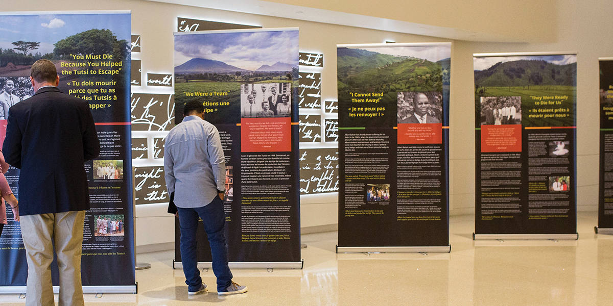 Nozik külotlarning fotosurati