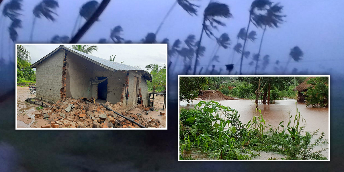 サイクロン・フレディ 東アフリカに大規模な被害