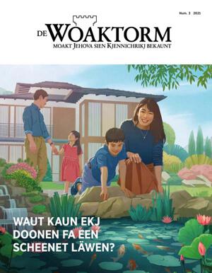 Num. 3 2021 | Waut kaun ekj doonen fa een scheenet Läwen?